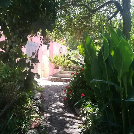 Affitta Casa Delle Rose Villanova Monteleone